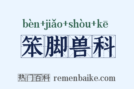 笨脚兽科是什么意思的图片